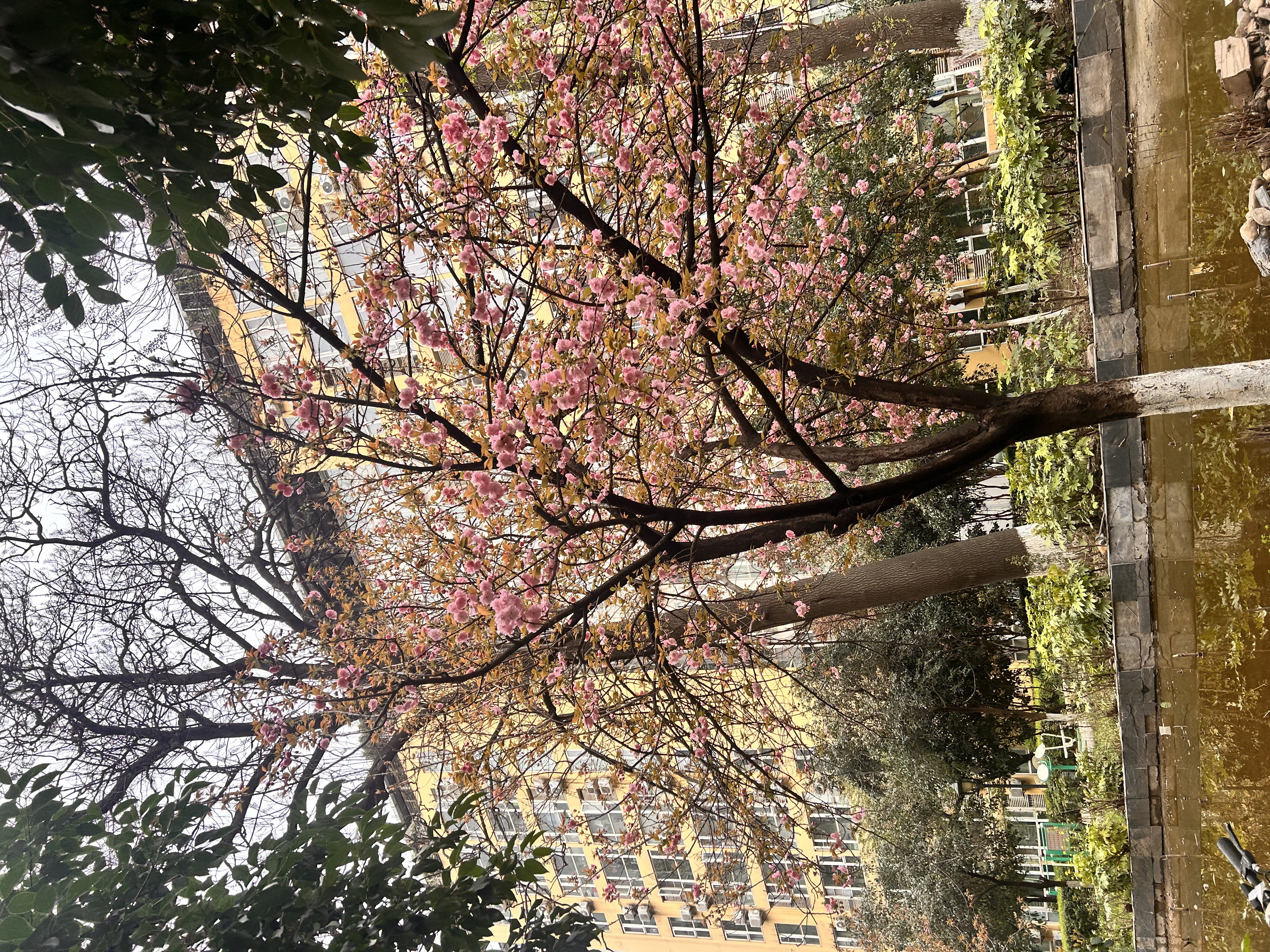 微信图片_20260402191921_245_296.jpg