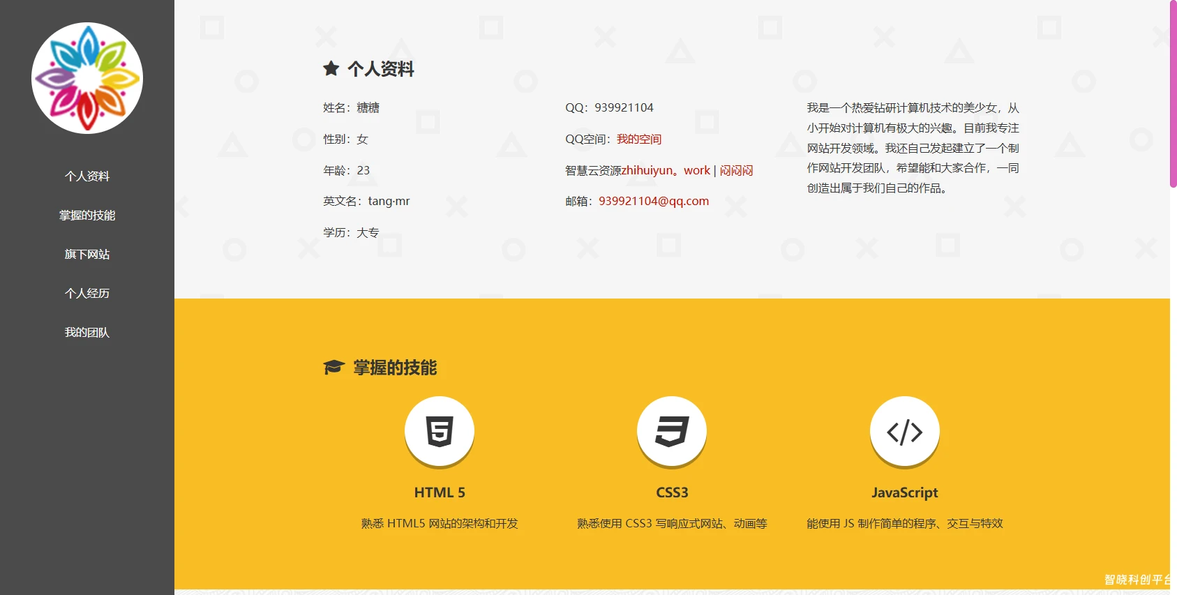 分享几个个人主页源代码-可用户引导，展示和介绍使用