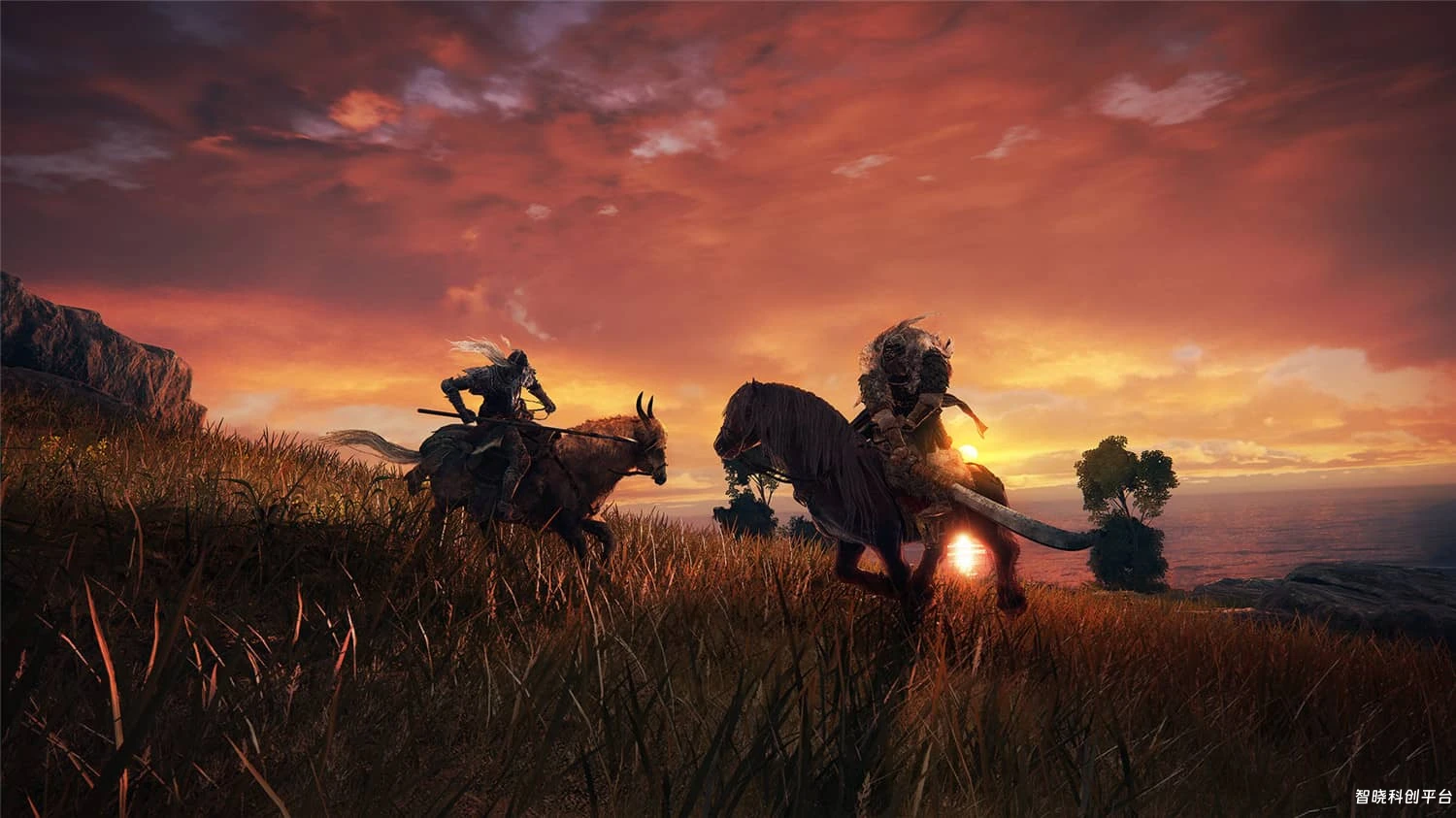 艾尔登法环黄金树幽影/老头环/ELDEN RING Shadow of the Erdtree